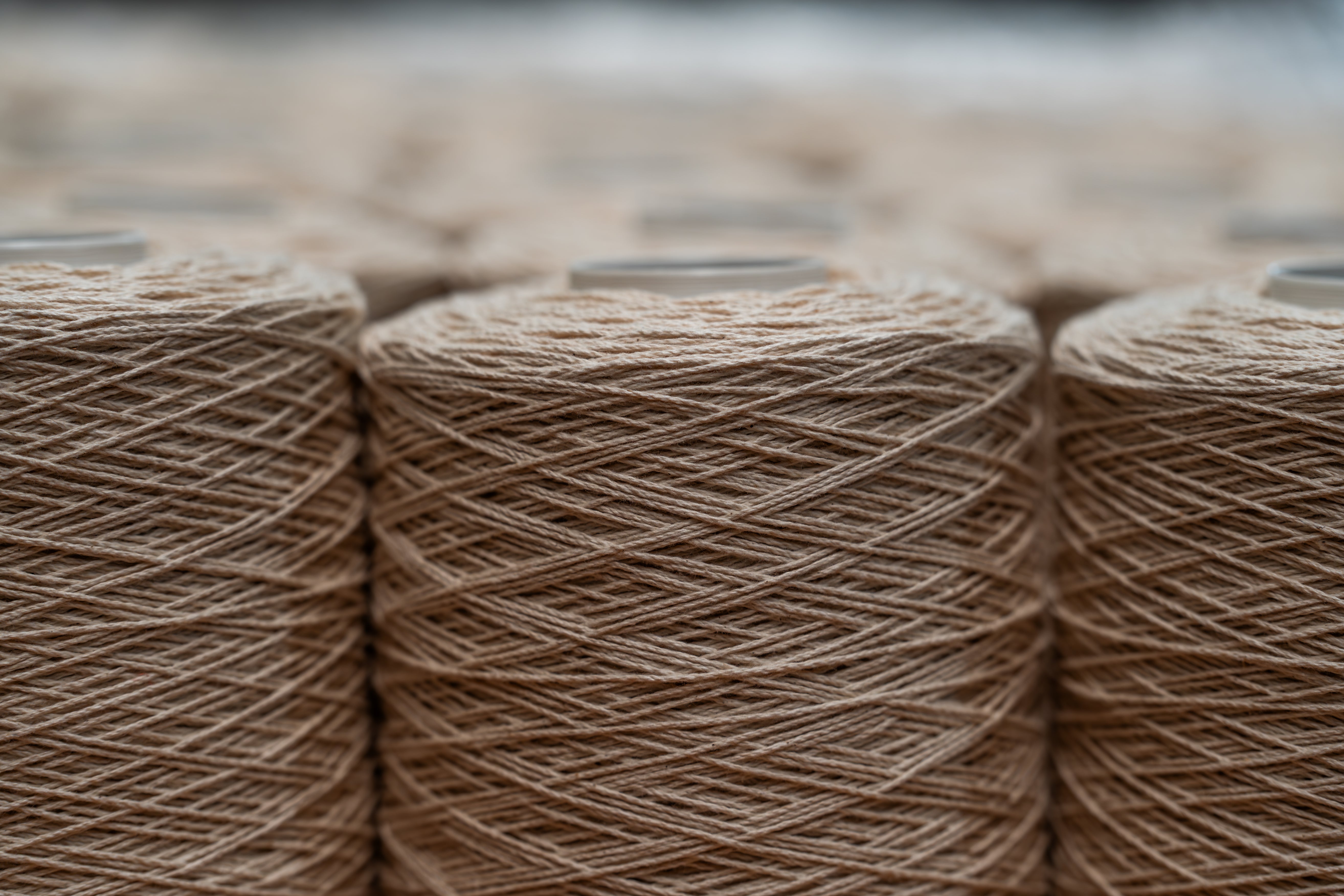 Rug Maintenance Guide